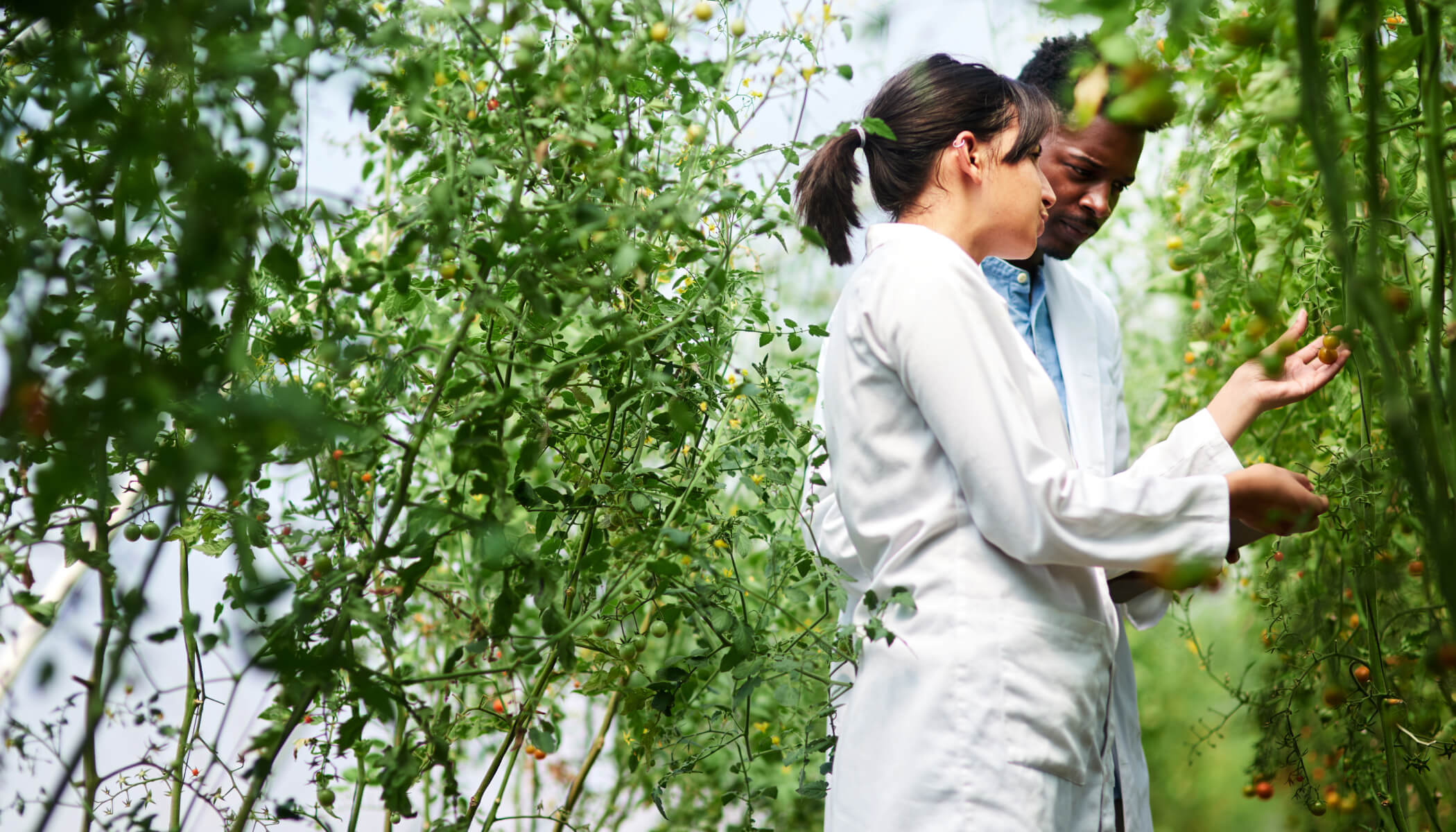 Founders at the University of Cambridge