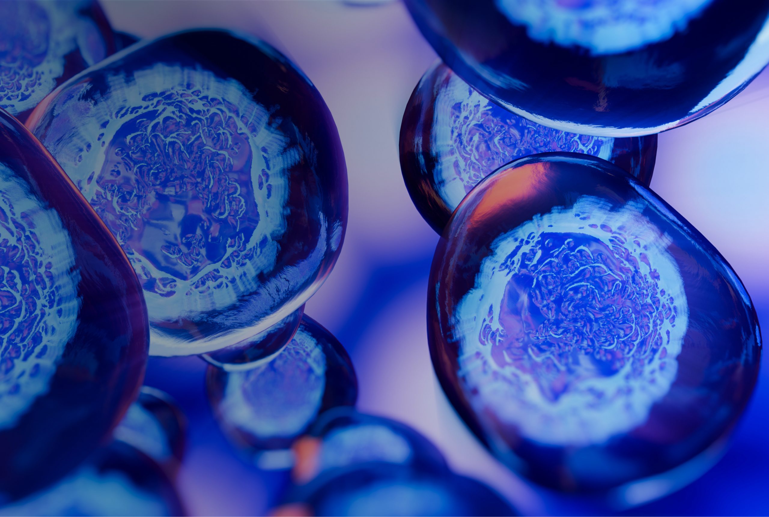 Founders at the University of Cambridge