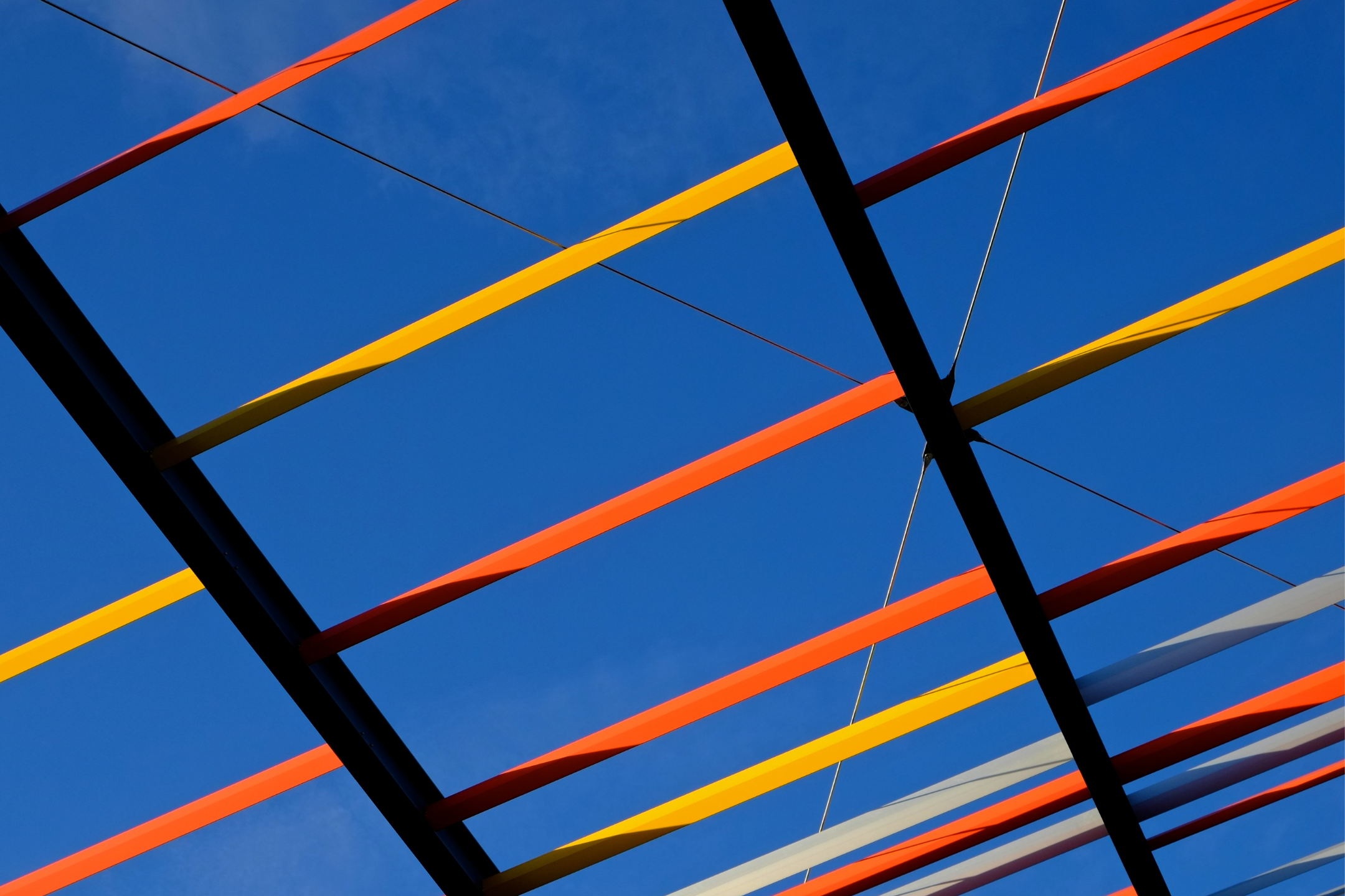 Founders at the University of Cambridge